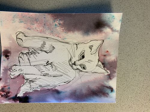 Customer photo review of TCW Watercolor Sparx Powder