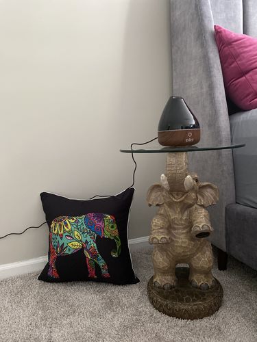 Customer photo review of Jungle Elephant SWKD2014 Cushion Cover