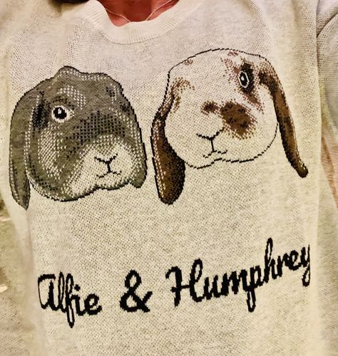 Customer photo review of Full-Body Pet Custom Sweater