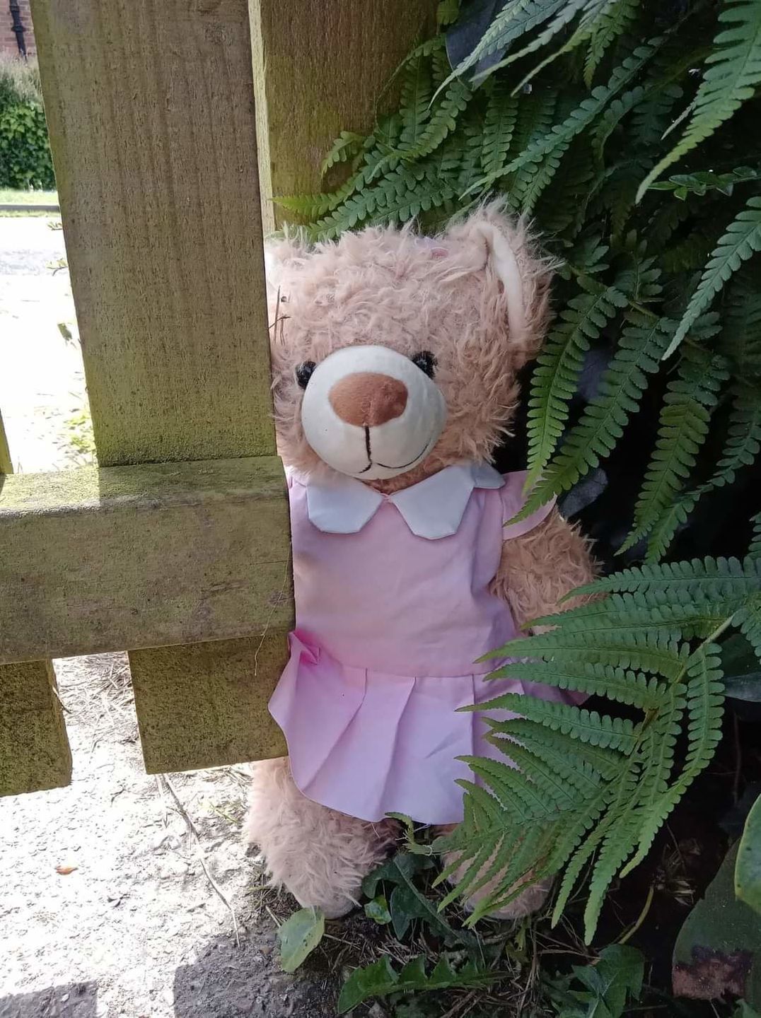 Customer photo review of Peggy The Girl Teddy Bear