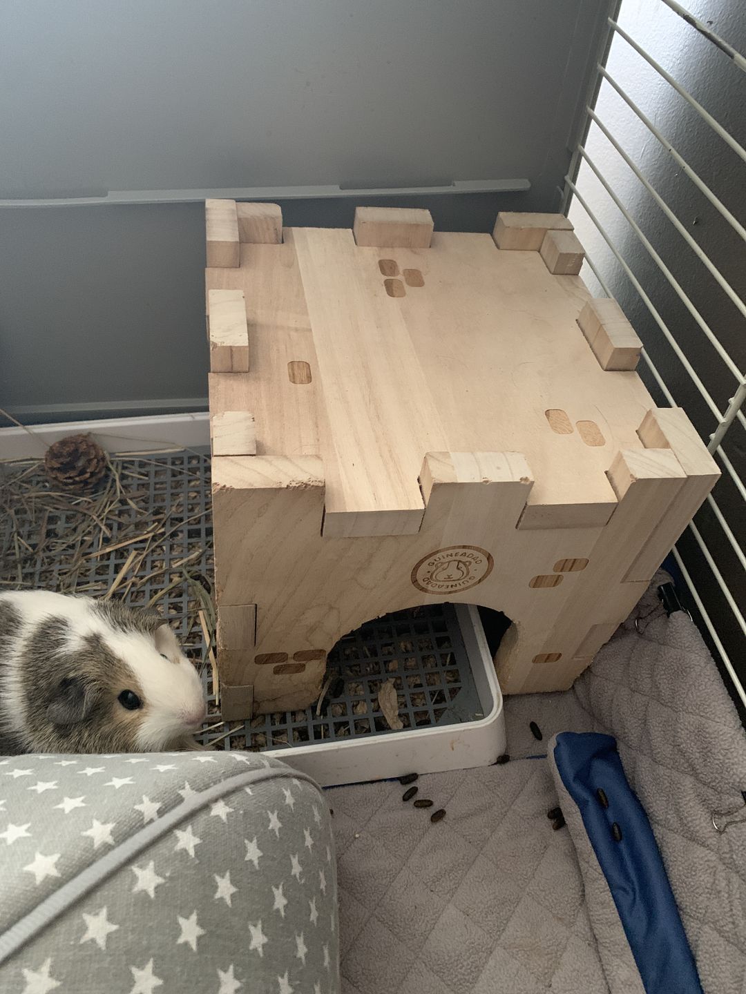 Customer photo review of GuineaDad Queen's Castle