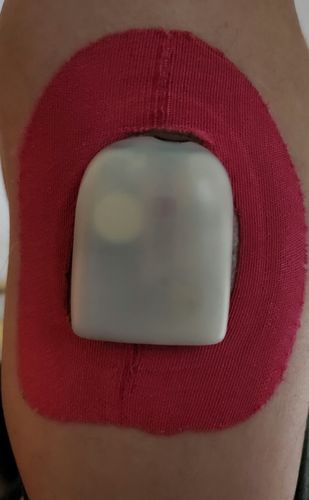 Customer photo review of Free Samples - Just Pay Shipping *(US Only)