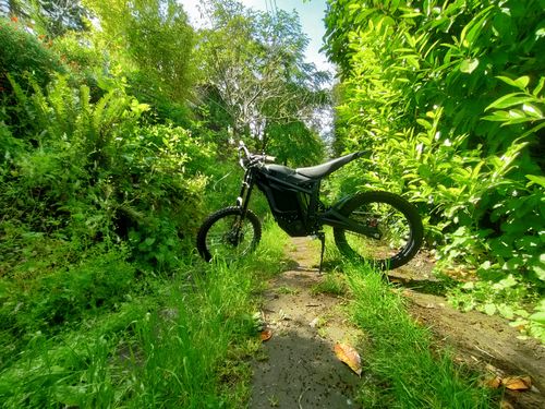 Customer photo review of Talaria Sting