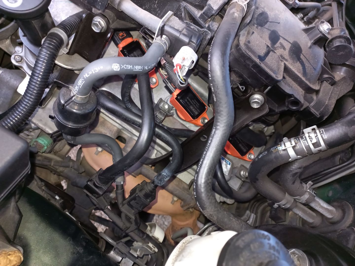 Customer photo review of Toyota / Lexus V6 High Performance Coil Packs
