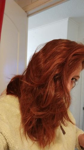 Reseña con foto de un cliente sobre Henna Jamila BAQ (Premium)