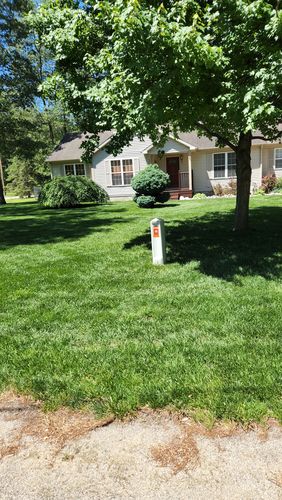 Customer photo review of GCI Turf Spreader Elite Grass Seed