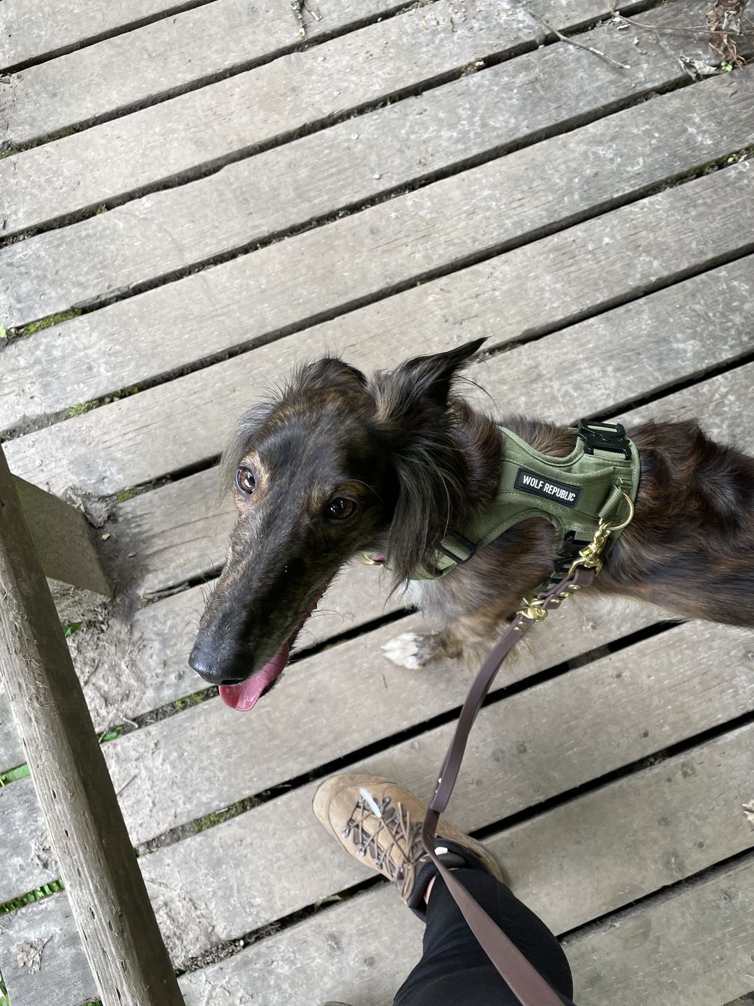 Customer photo review of Denali Training Tab