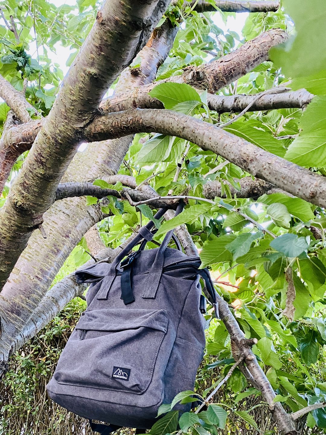 Customer photo review of Ukiyo Wald