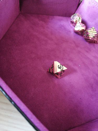 Customer photo review of W100 / D100 Drachenei