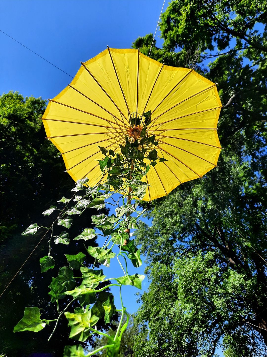 Customer photo review of 32" Yellow Paper Parasol Umbrella, Scallop Blossom Shaped with Elegant Handle