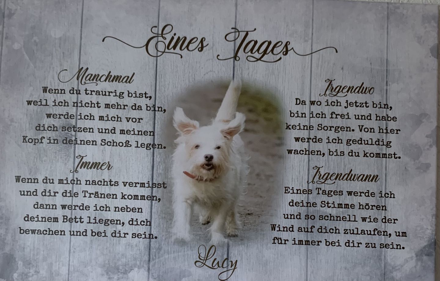 Customer photo review of Eines Tages - Individuelle Leinwand