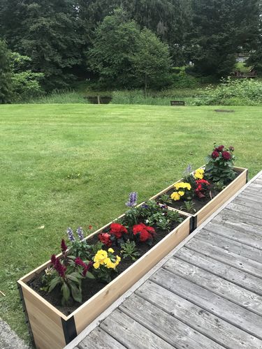 Customer photo review of 18" x 48" Planter Box - 24" Tall