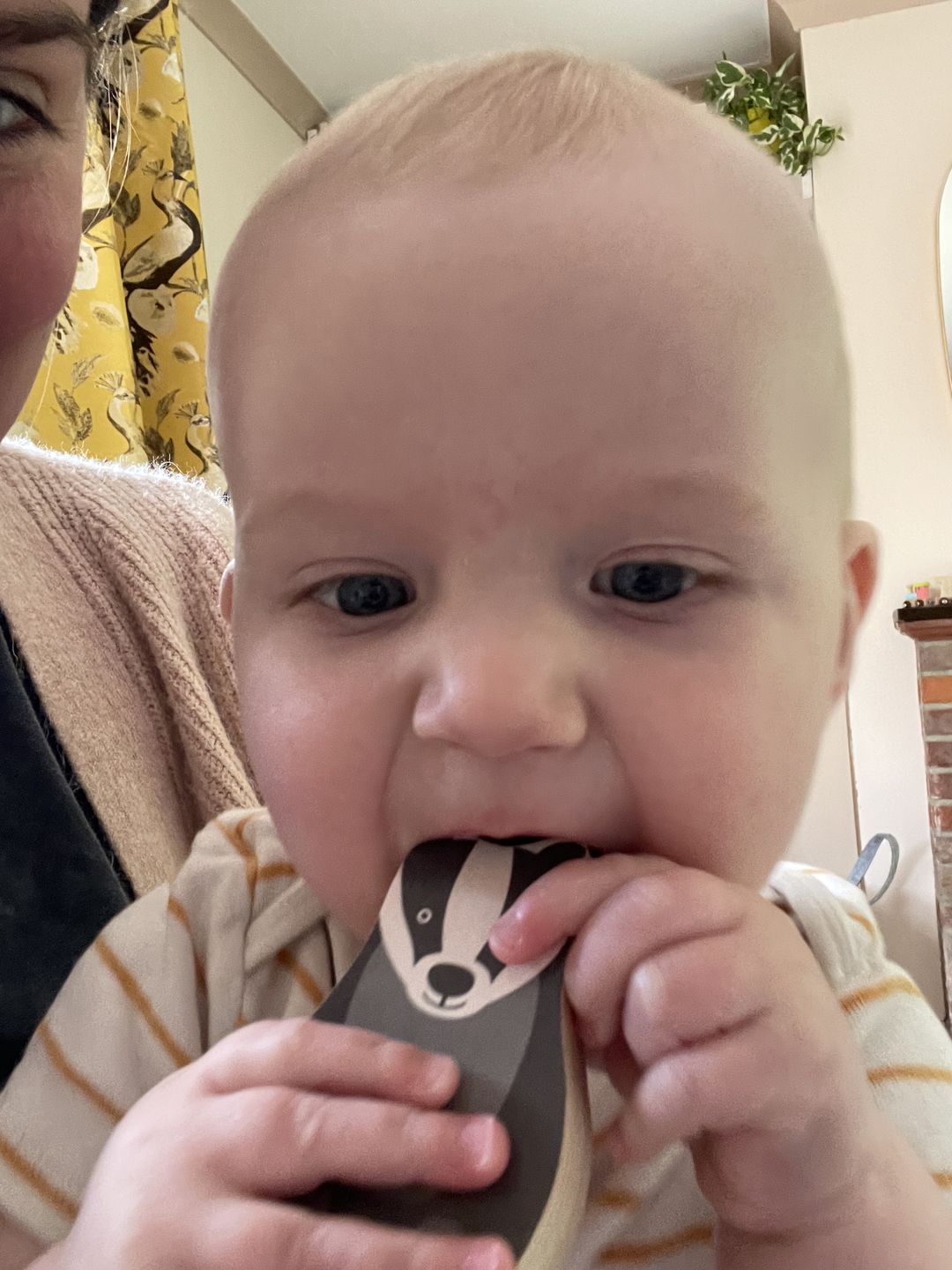 Customer photo review of Woodland Friends Rock-a-Boat Woodlies
