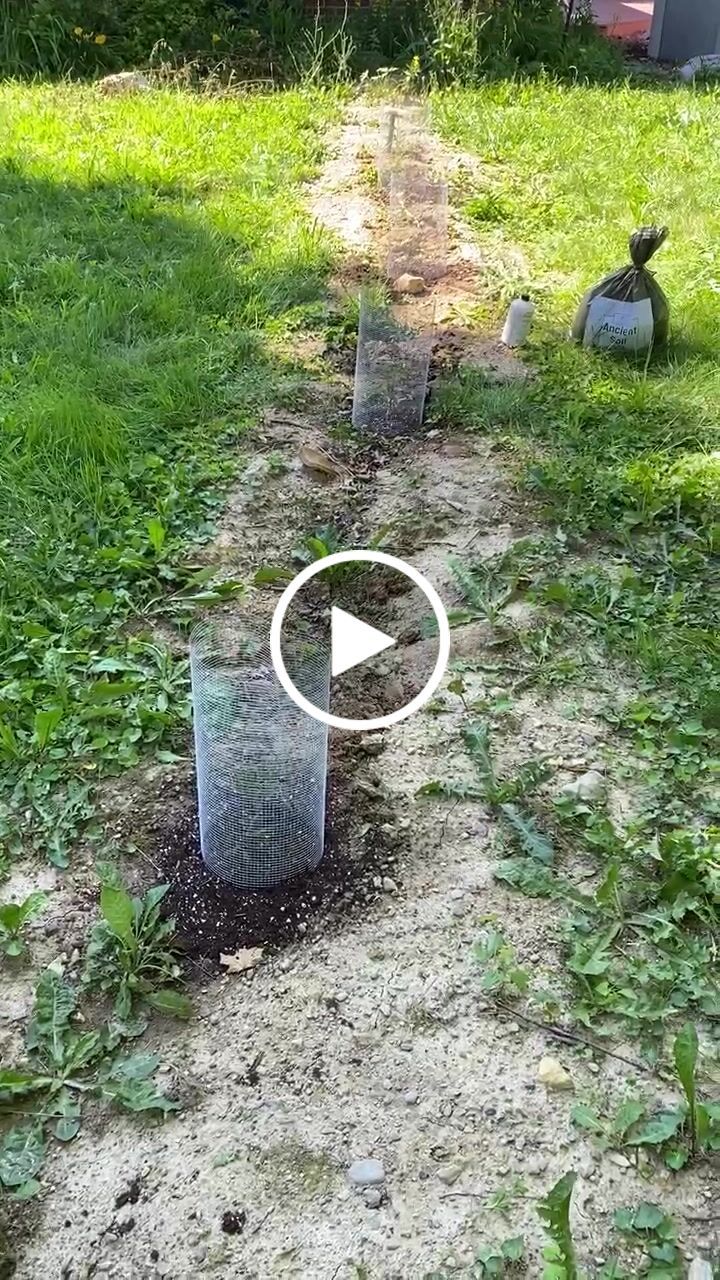 Customer video review of Ancient Soil