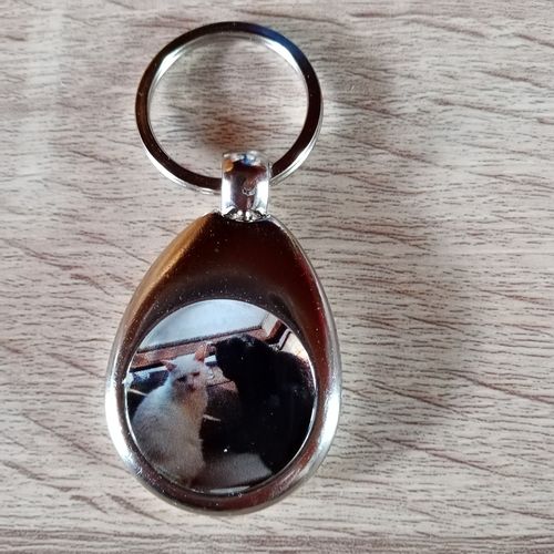Customer photo review of Schlüssel- Anhänger mit Foto „Tropfen“ + Einkaufswagen Chip