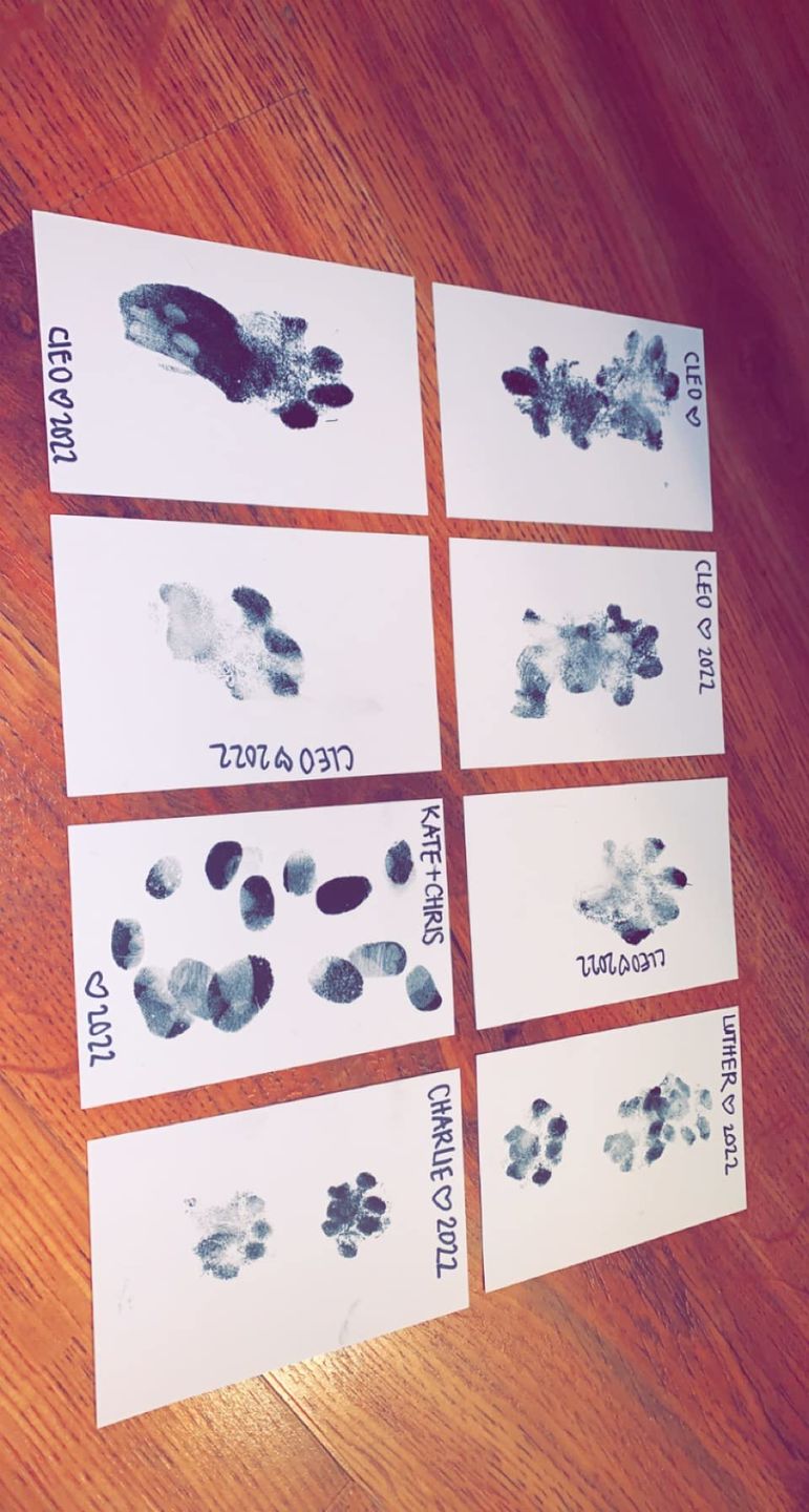 Customer photo review of Inkless Ink Pads