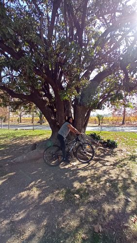 Customer photo review of Bicicleta Mountain Bike Volga_Negro Aro 29