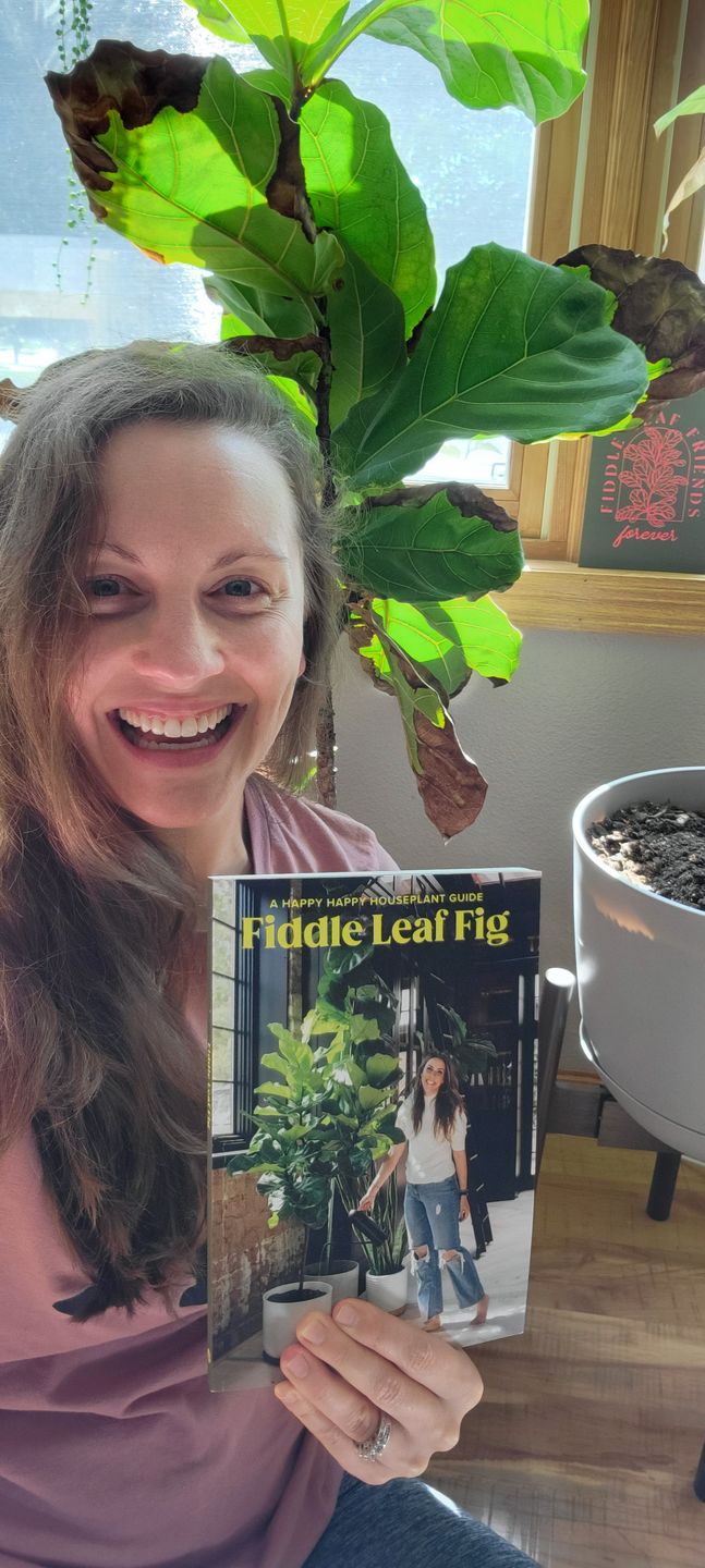 Customer photo review of Fiddle Leaf Fig Guide