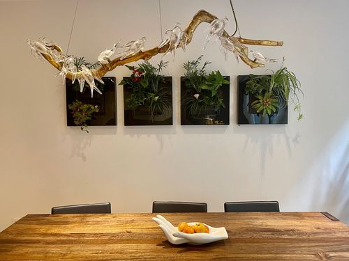 Customer photo review of Live Picture Go Plant Frame