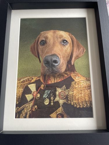 Customer photo review of The General - Custom Vintage Pet Portrait