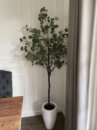 Customer photo review of Eucalyptus Kunstboom 180cm