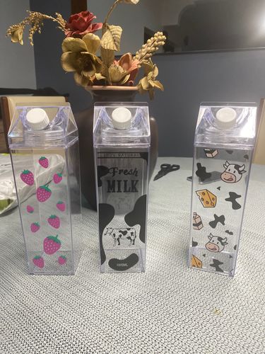Customer photo review of Clear Carton Water Bottle