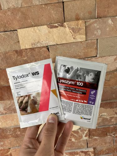 Customer photo review of LYSOZYM®100