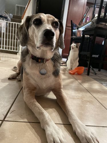 Customer photo review of Explorer