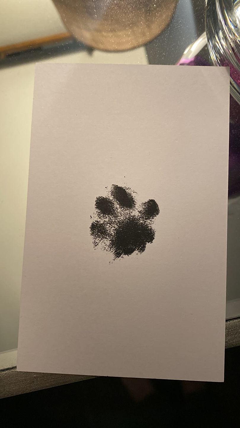 Customer photo review of Inkless Ink Pads