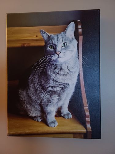 Customer photo review of Classic – Custom Pet Canvas
