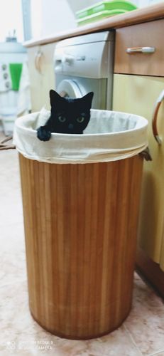 Customer photo review of Eco-Tiras de Detergente 40 lavados Natulim