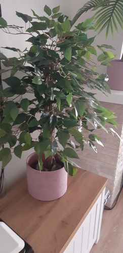 Customer photo review of Ficus Kunstboom 90cm