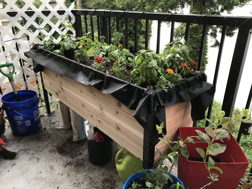Customer photo review of 18" x 60" Raised Garden Bed