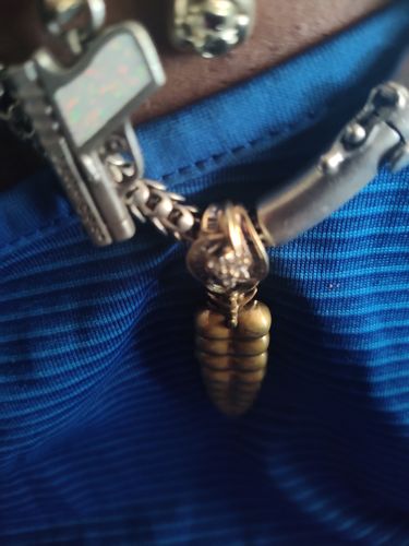 Customer photo review of Brass Rattlesnake Tail Pendant