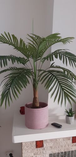 Customer photo review of Kunstpalm Dikke stam 80cm