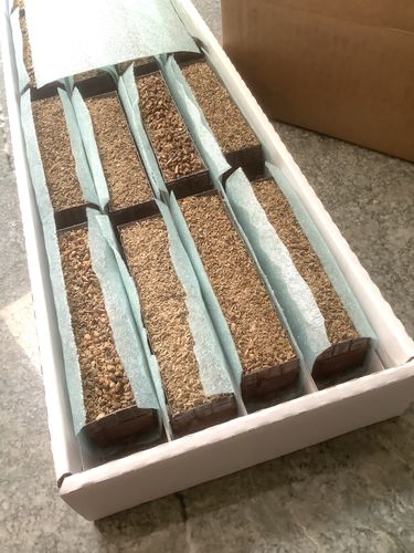 Customer photo review of A Line Product 19255 Hobby Tote System w/Nylon Carrying Case -- 4 High-Sided Containers, HO