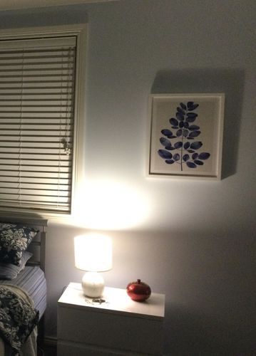 Customer photo review of Simple Leaf