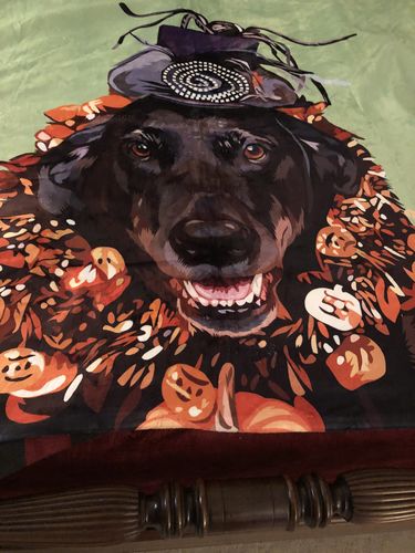 Customer photo review of Custom Pet Fleece Blanket