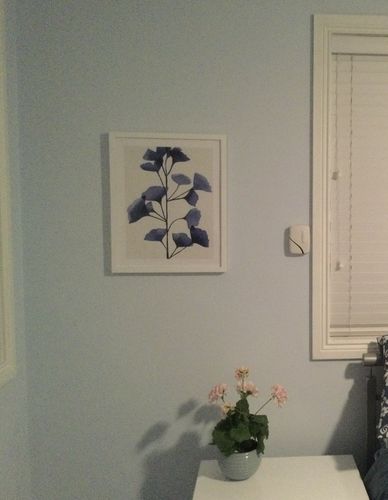 Customer photo review of Ginkgo | Navy