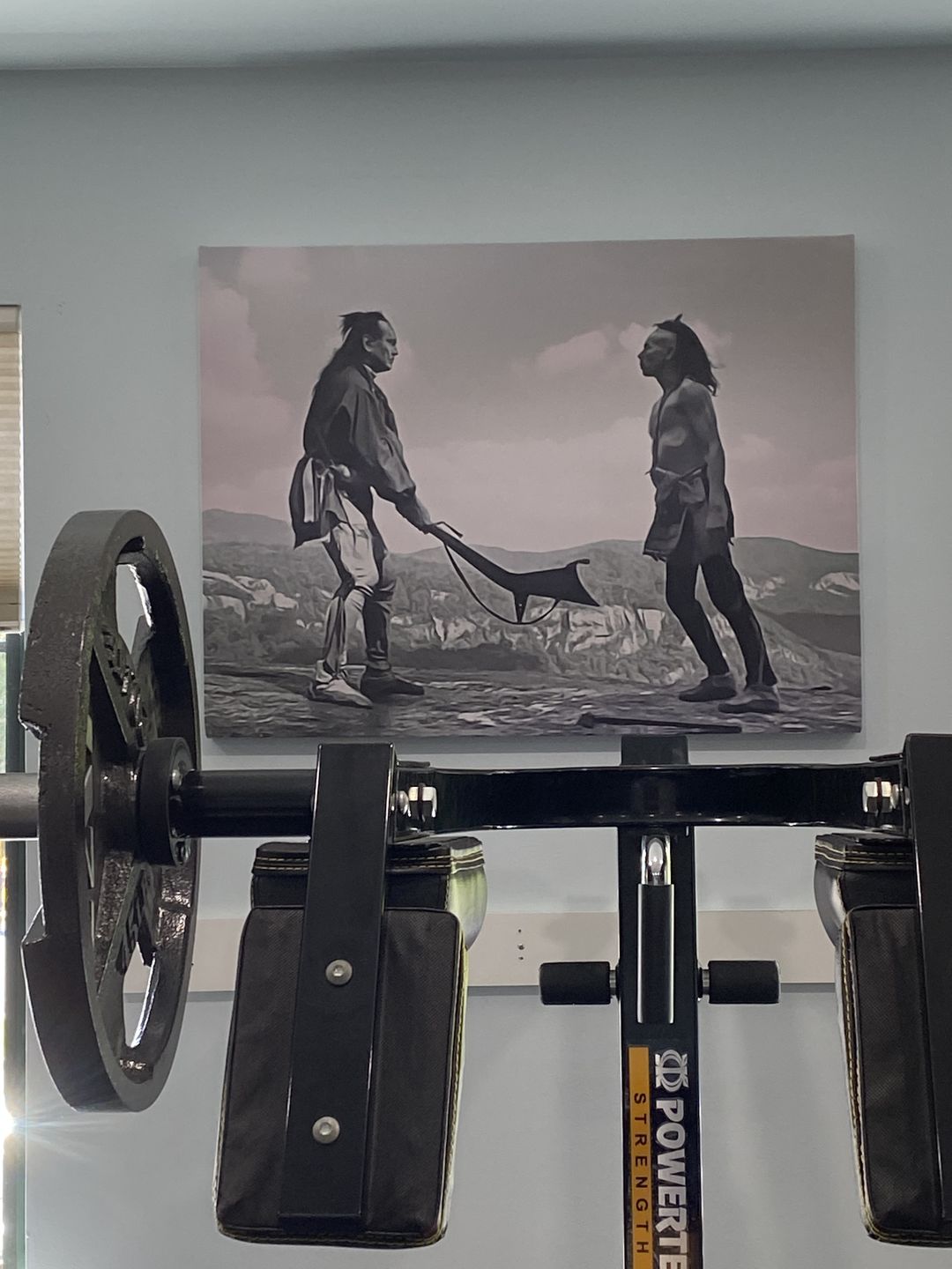 Customer photo review of Last of the Mohicans Wall Art