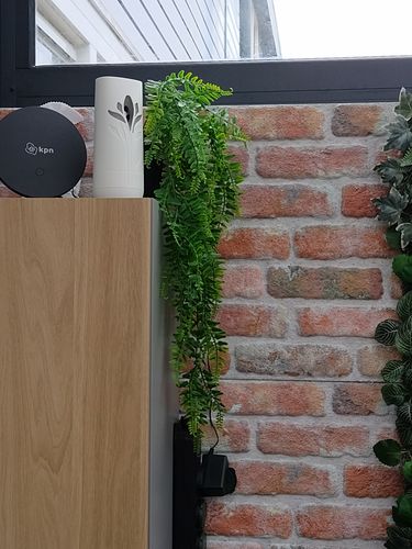 Customer photo review of Varen Kunst Hangplant