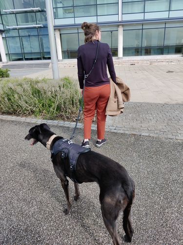 Customer photo review of Ragnar Harness