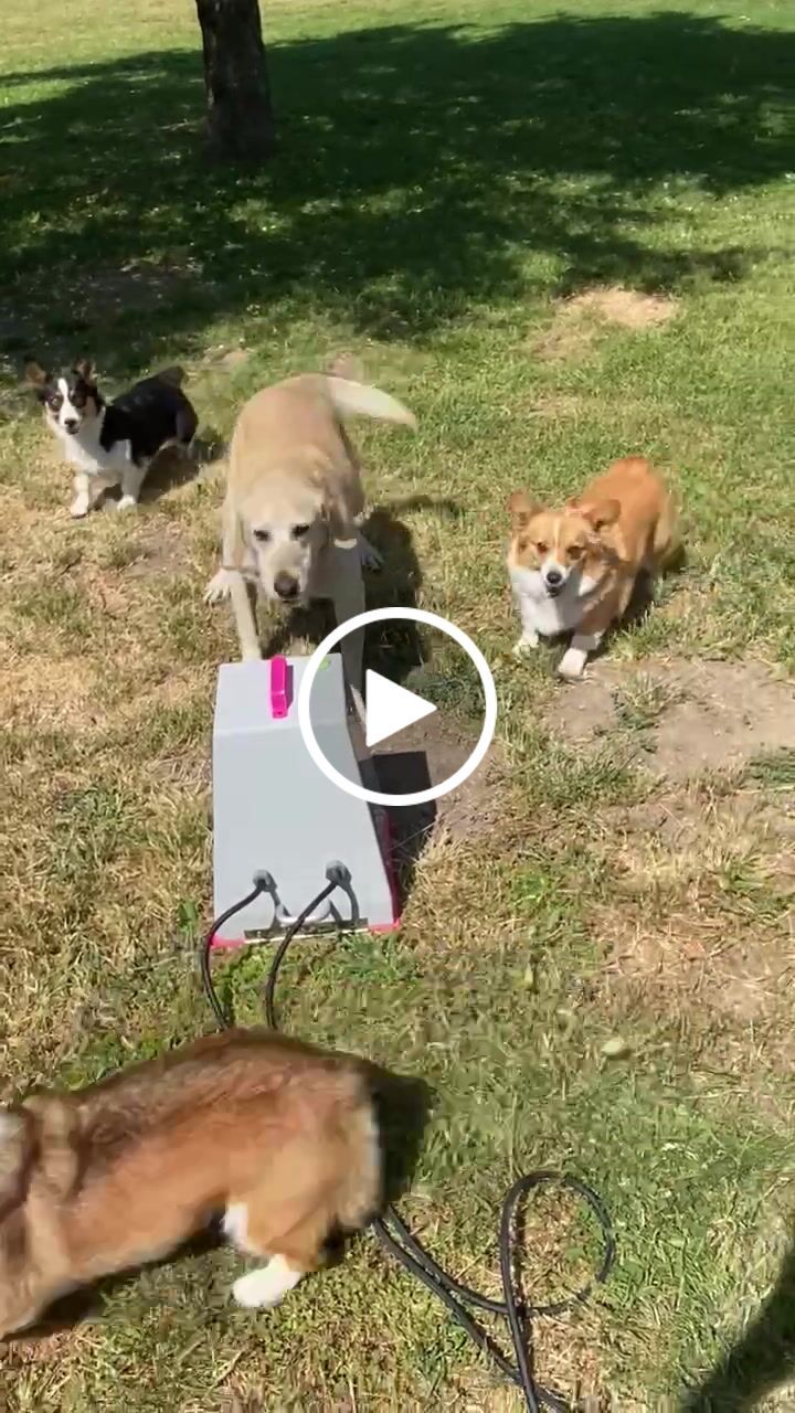 Customer video review of Critter Pack Pre-Order - Shipping May 2022