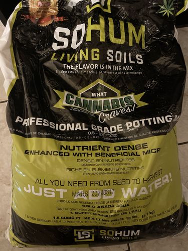 Customer photo review of Sohum Soil Organic Living Soil Just Add Water 1.5 cu ft