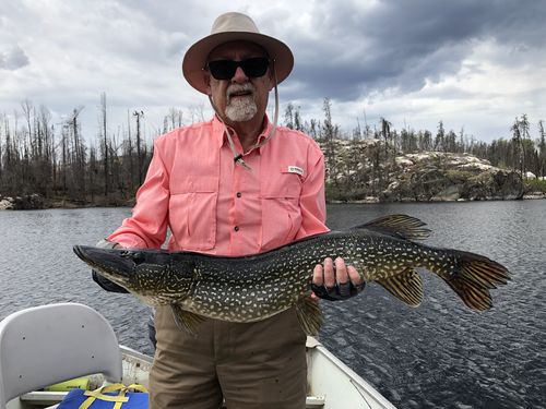 Customer photo review of Headbanger Tail 9"