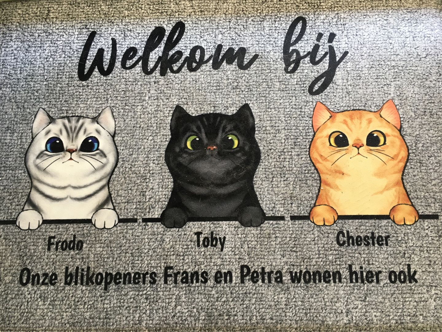 Customer photo review of Welkom bij nieuwsgierige katten - Gepersonaliseerde deurmat