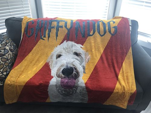 Customer photo review of Custom Pet Fleece Blanket