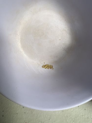 Customer photo review of *BOGO*: MAMMOTH 'TROY OUNCE NUGGET HUNT' Gold Paydirt - Gold Paydirt Concentrate