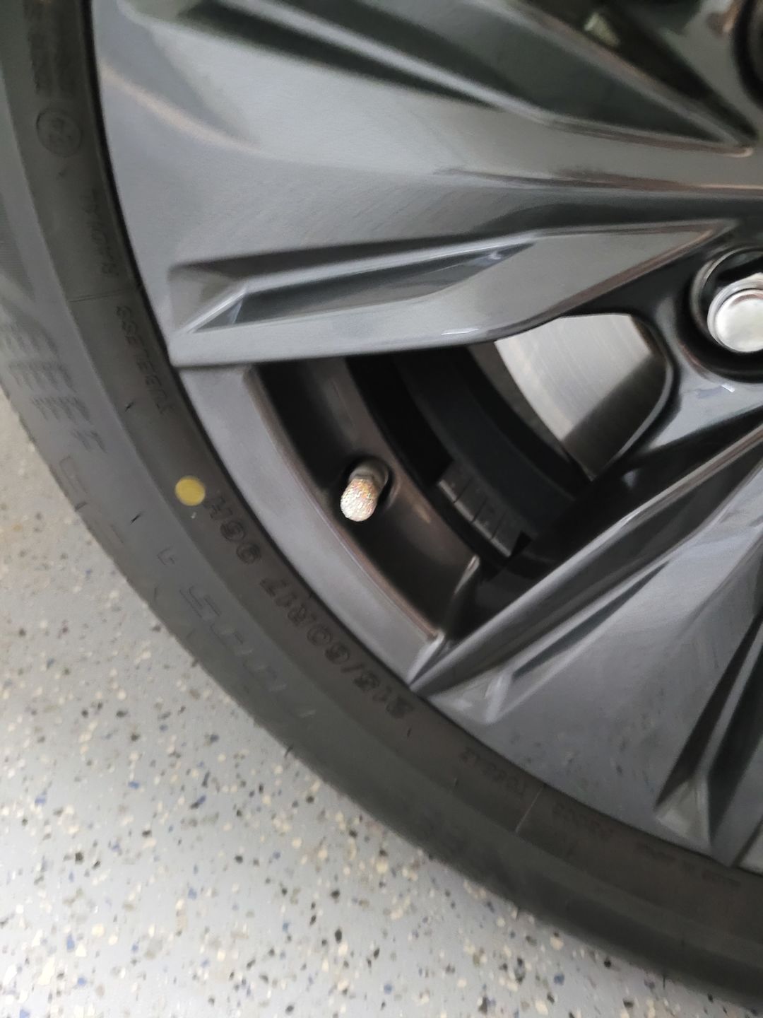 Customer photo review of Lil' Princess Valve Caps