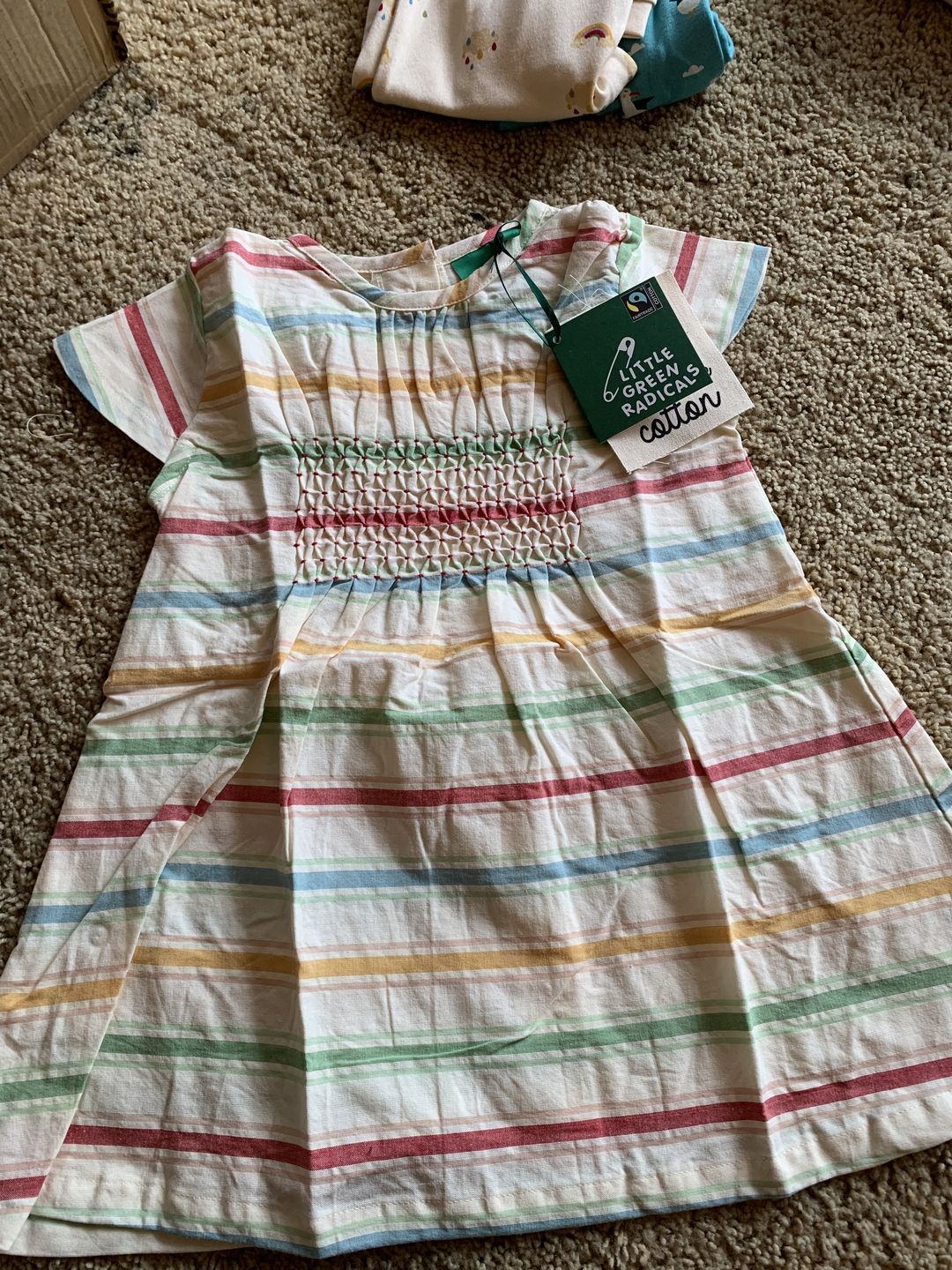 Customer photo review of Rainbow Striped Smocked Floaty Dress